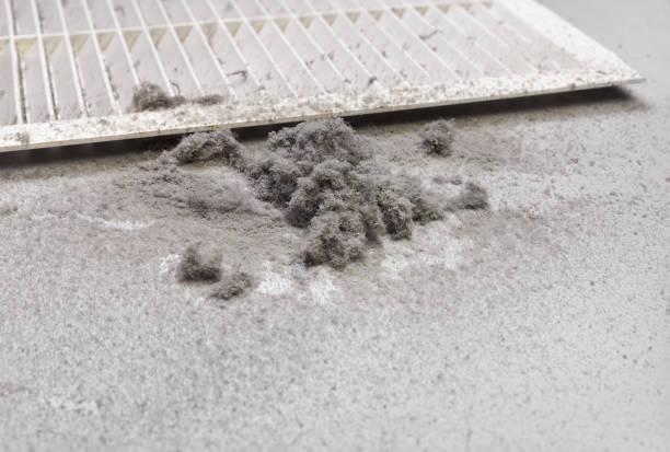 Best Air Vent Cleaning Services  in Sullivan, IL
