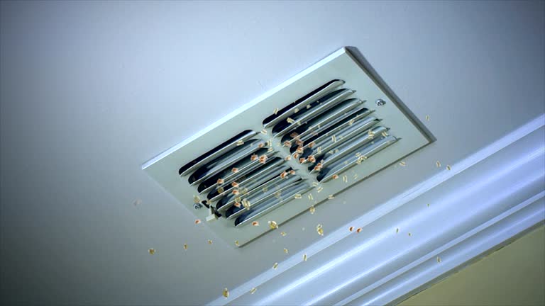 Best Air Duct Inspection  in Sullivan, IL