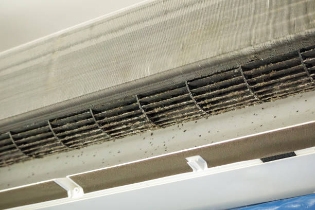 Best Emergency Air Duct Cleaning  in Sullivan, IL